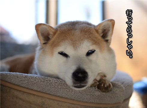 21日ブログ2.jpg