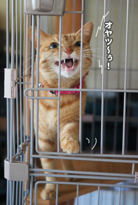 12日ブログ4