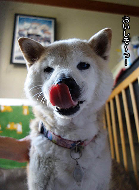 4日ブログ５
