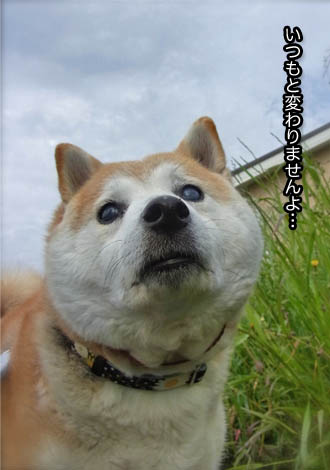 21日ブログ４.jpg