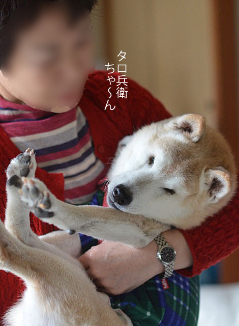 11日ブログ7