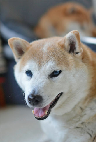 29日ブログ4.jpg