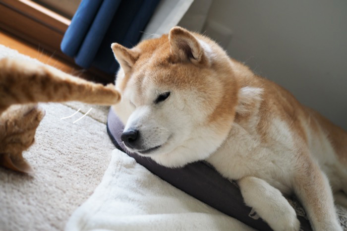 22日ブログ１