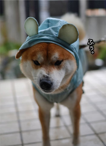 22日ブログ5.jpg