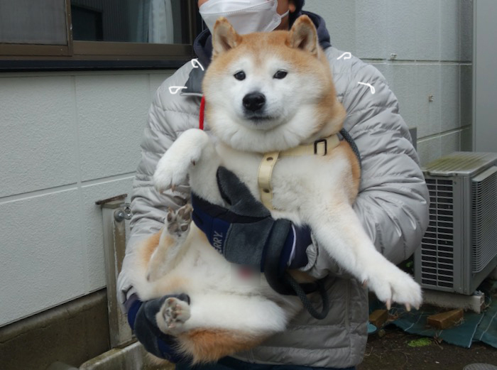 7日夕ブログ４