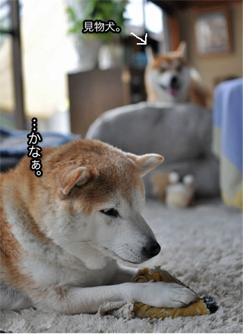 14日ブログ4.jpg