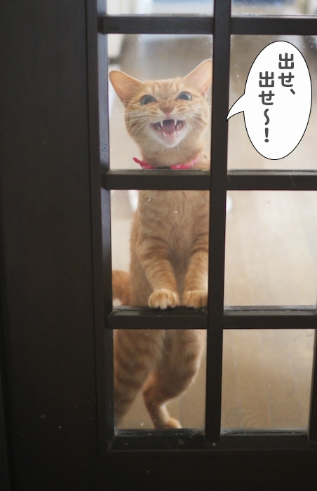 28日夕ブログ2