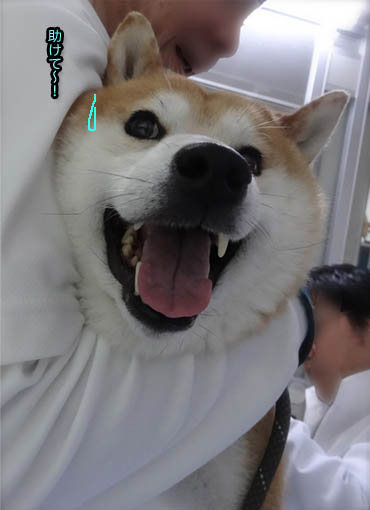 29日ブログ5.jpg