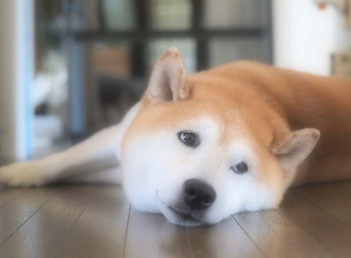 17日ブログ１