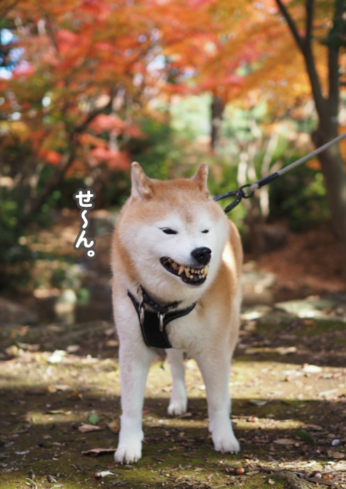 5日夕ブログ６