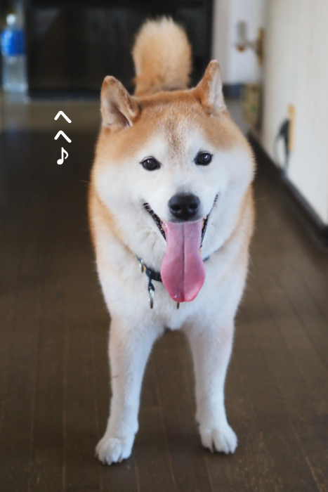 26日夕ブログ４