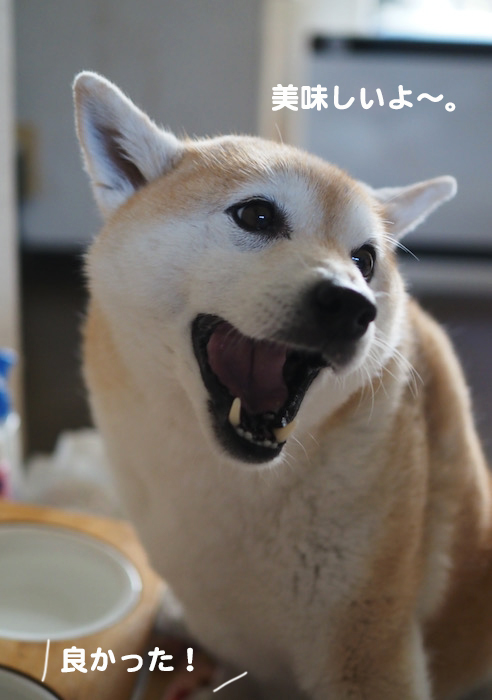 1日夜ブログ６