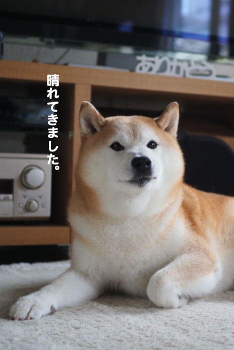 17日ブログ３