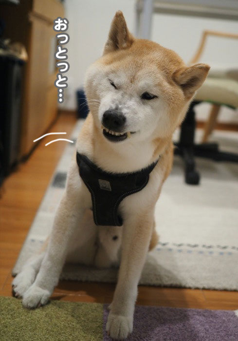7日ブログ１
