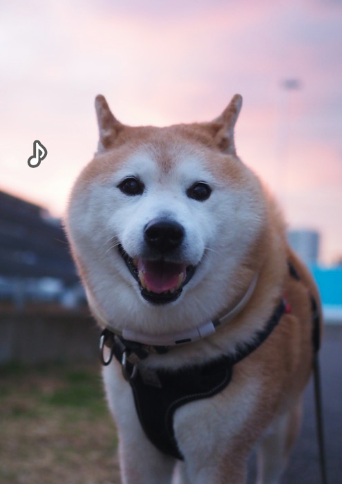 14日ブログ５