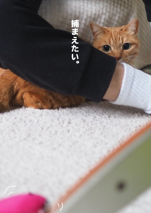 20日夕ブログ３