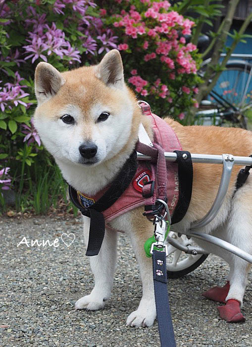 22日午後ブログ２