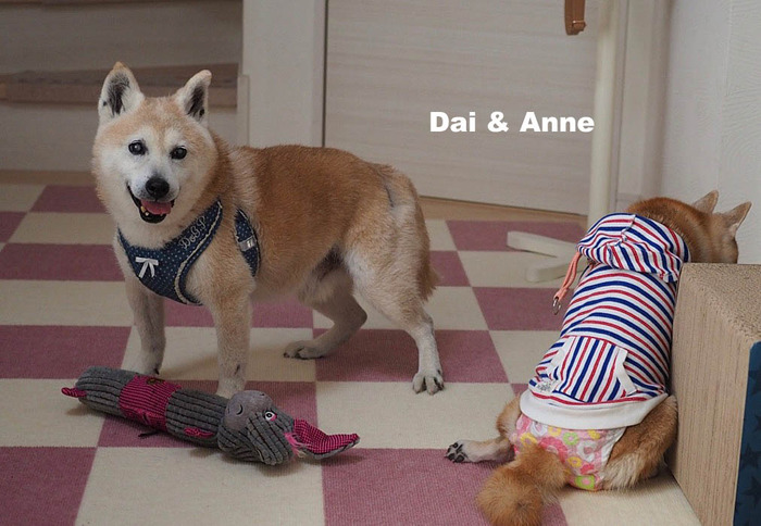 30日午後ブログ3