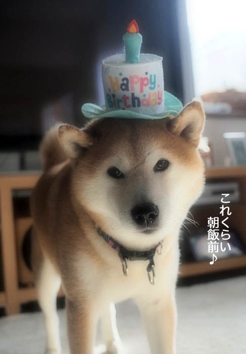 25日ブログ３