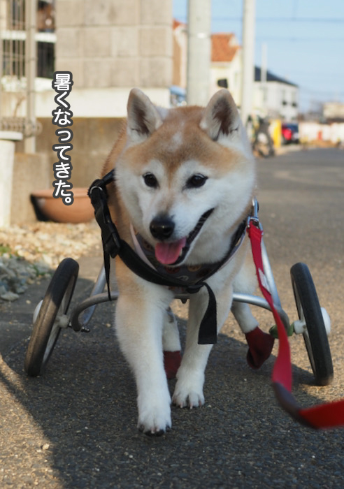 26日夜ブログ2