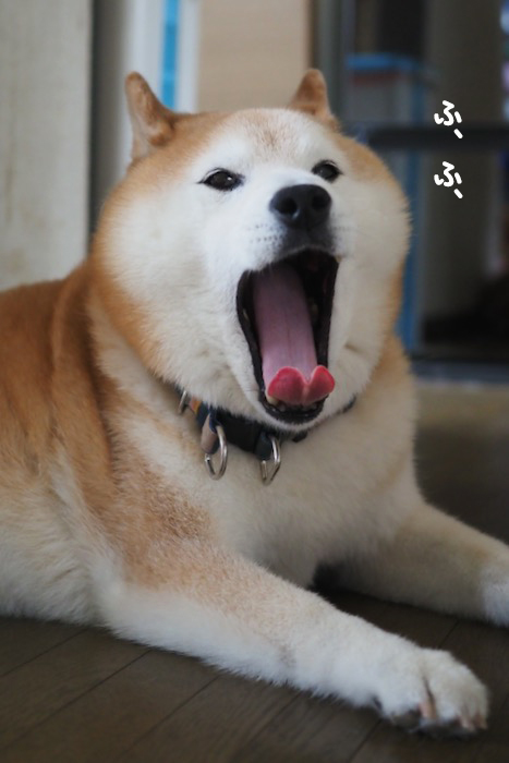 7日朝ブログ２