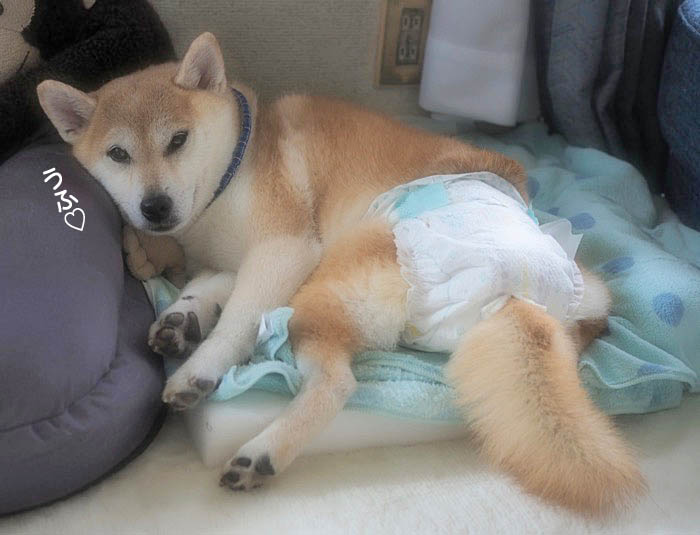15日ブログ７