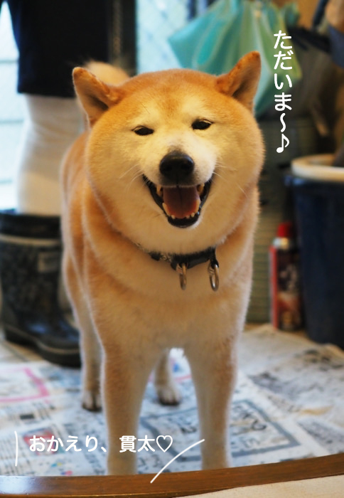 18日夜ブログ６