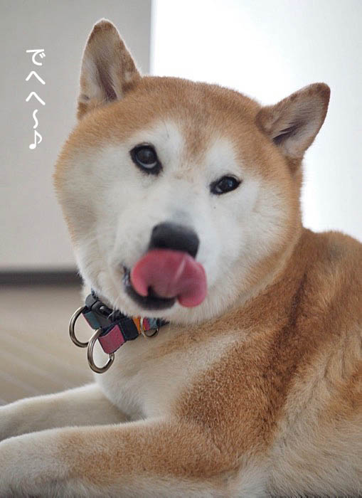 7日夜ブログ１０