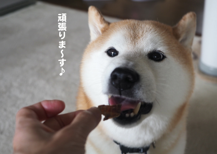 23日夕ブログ１１
