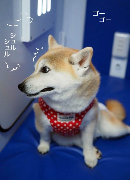 4日夜ブログ４