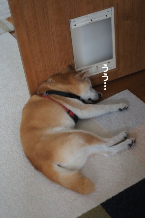 7日夕ブログ５