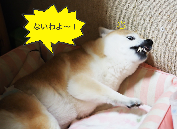 24日夜ブログ７