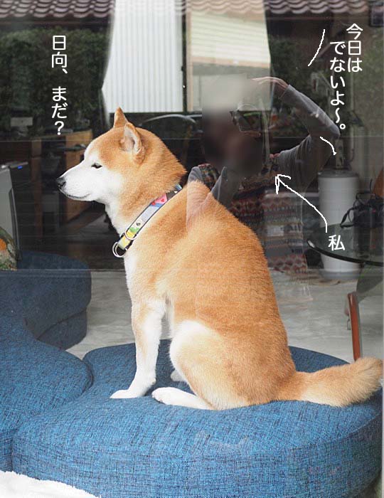 1日ブログ4