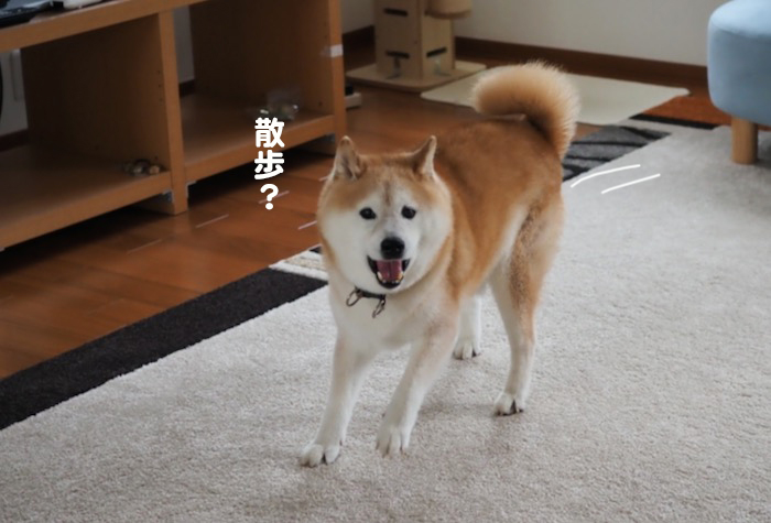 14日夕ブログ３