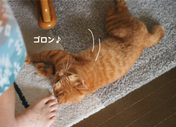 23日夜ブログ２