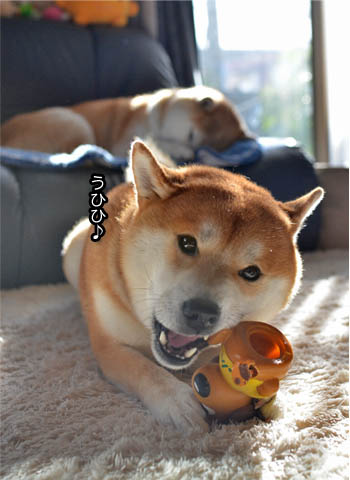 19日ブログ5.jpg