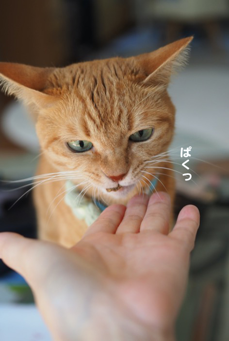 13日夕ブログ９