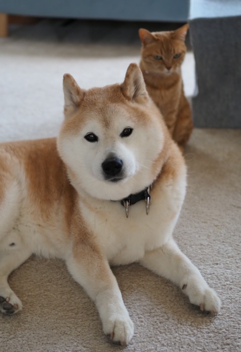 24日ブログ４