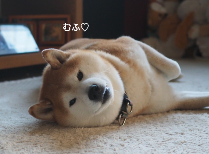 15日ブログ２