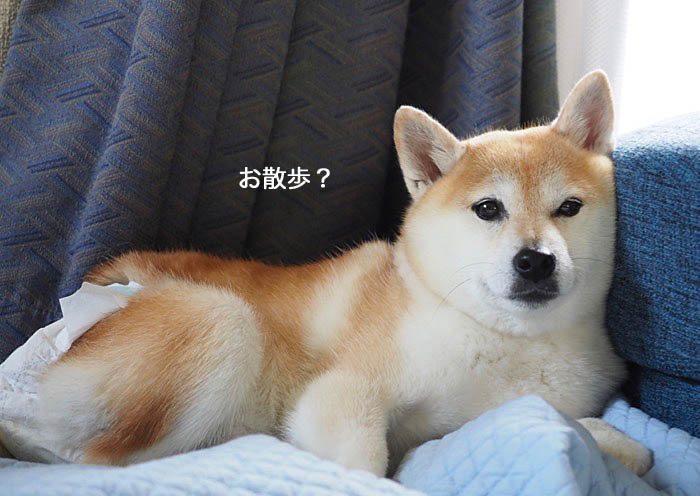 4日夜ブログ３