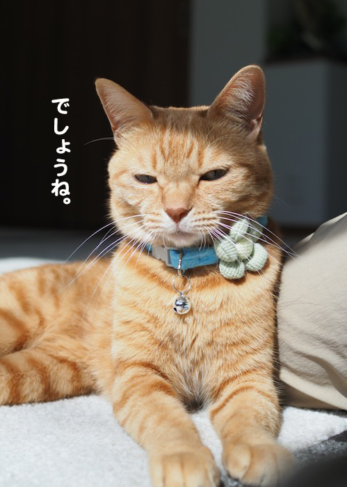 11日ブログ２