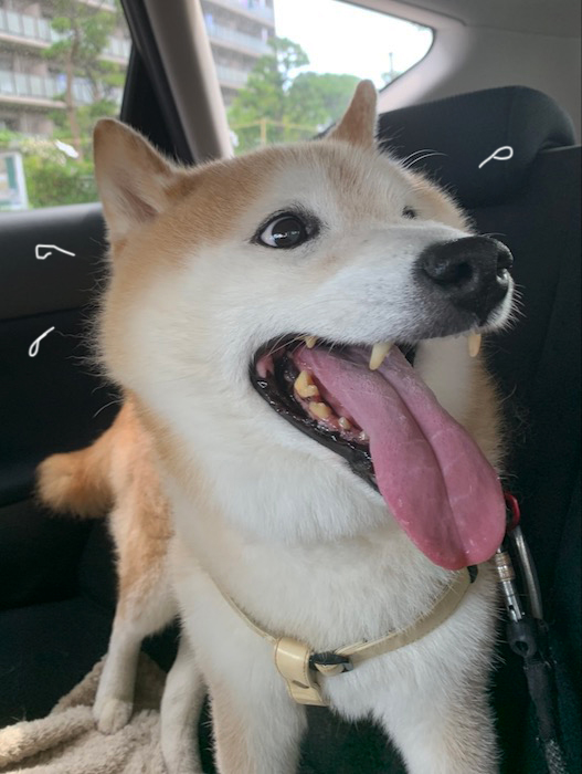 11日夕ブログ３