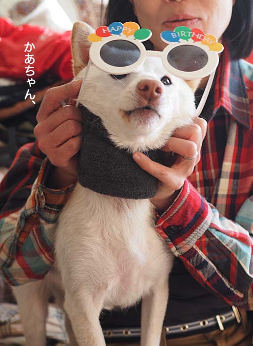 11日ブログ５