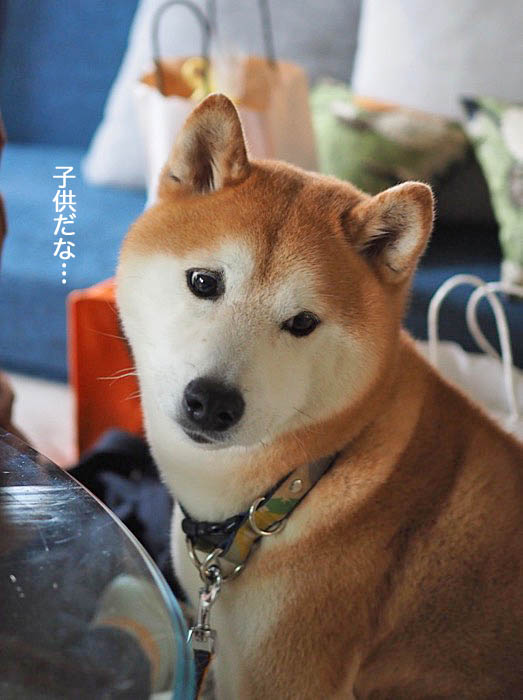 5日ブログ8