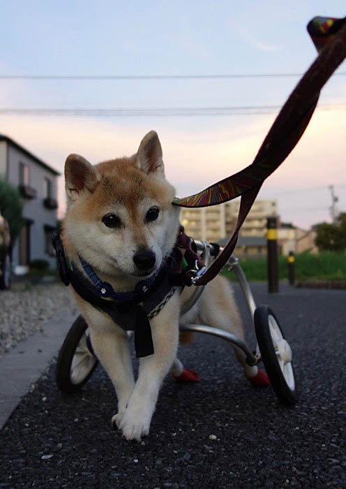 13日ブログ２