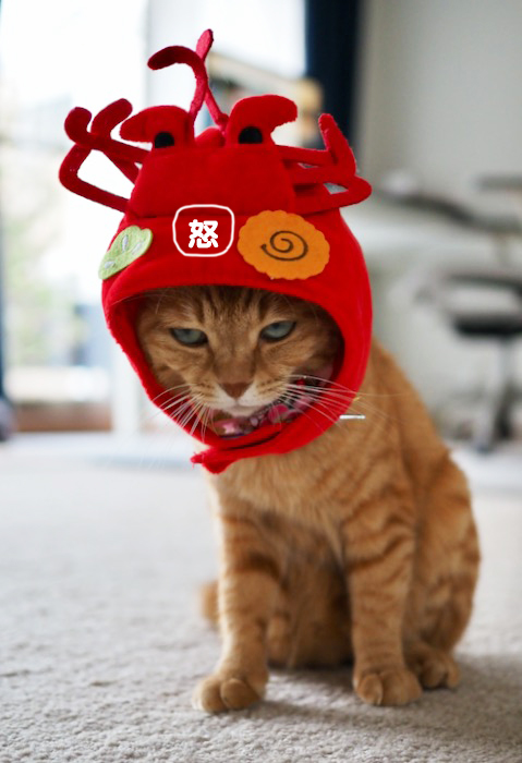 3日夕ブログ４