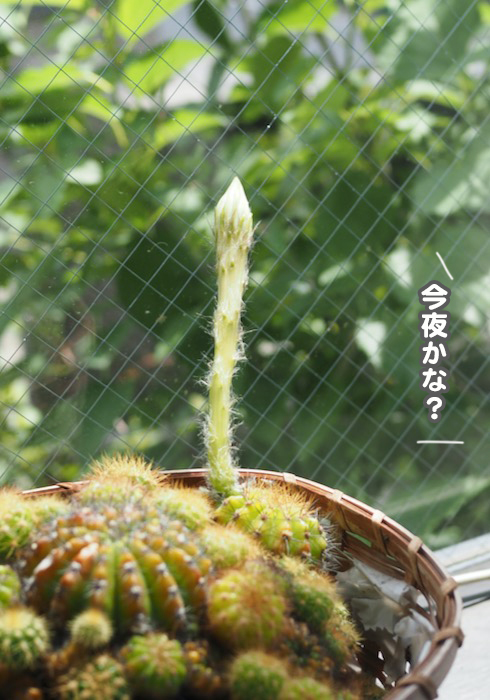 29日ブログ２