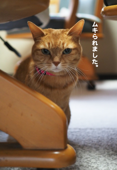 28日ブログ１