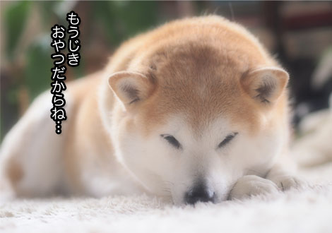 27日ブログ7.jpg