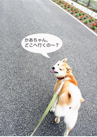 21日ブログ2.jpg